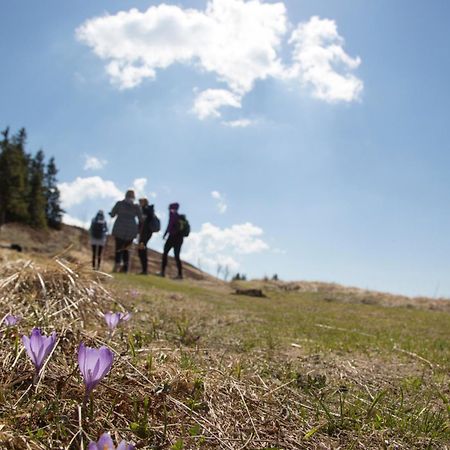Lake Peak Apartments, Ribnisko Pohorje Ribnica na Pohorju Kültér fotó