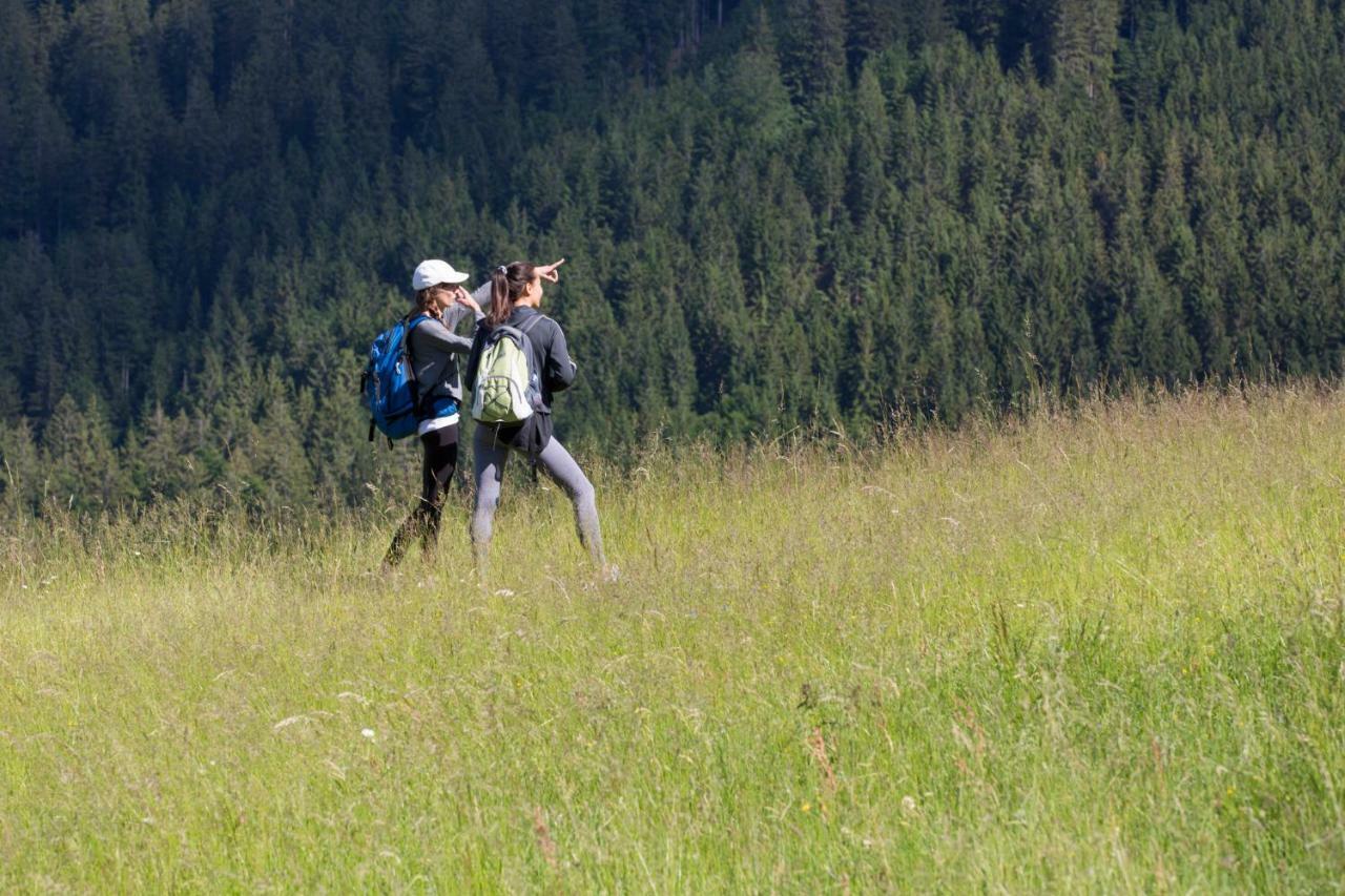 Lake Peak Apartments, Ribnisko Pohorje Ribnica na Pohorju Kültér fotó